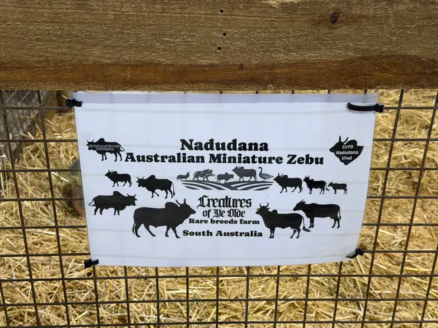 the Royal Adelaide Show