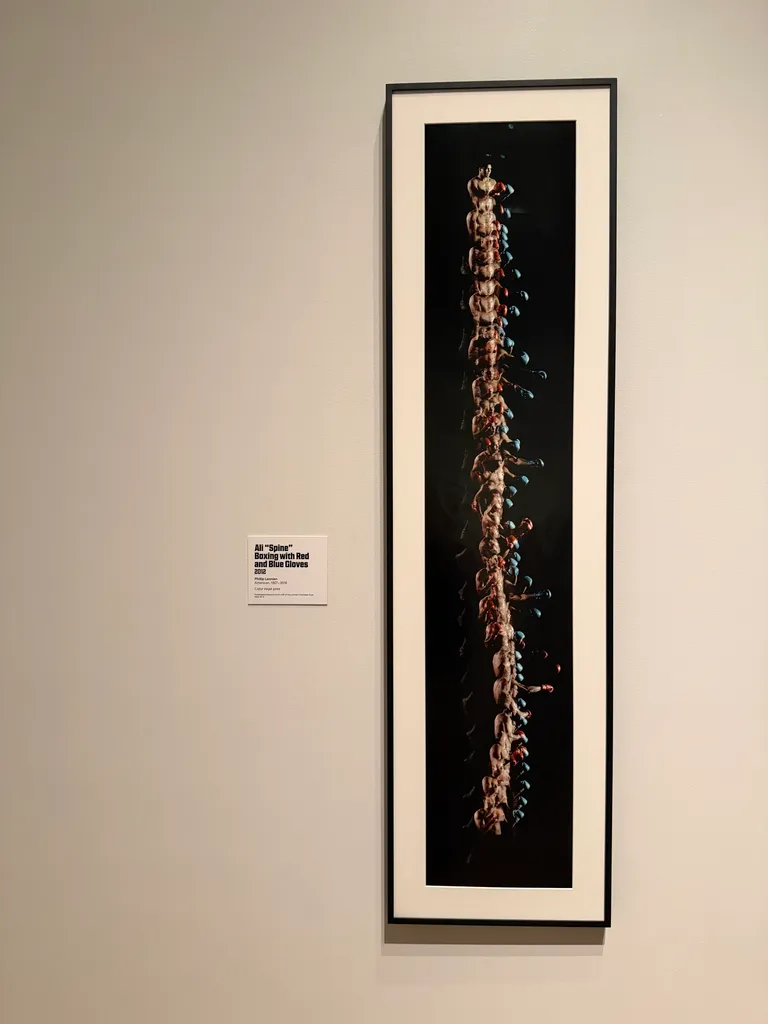 spine, but it's Ali