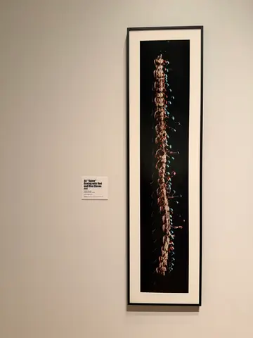 spine, but it's Ali