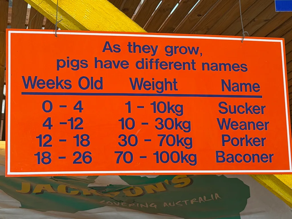 the Royal Adelaide Show