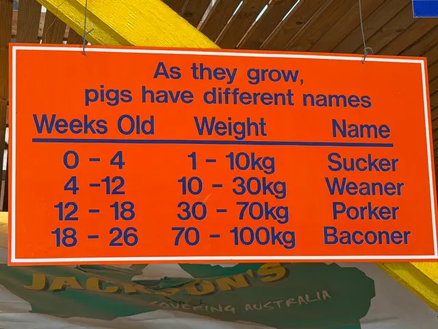 the Royal Adelaide Show