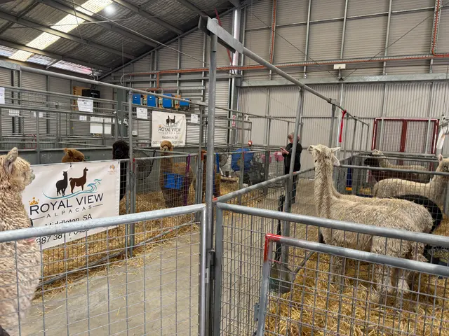the Royal Adelaide Show