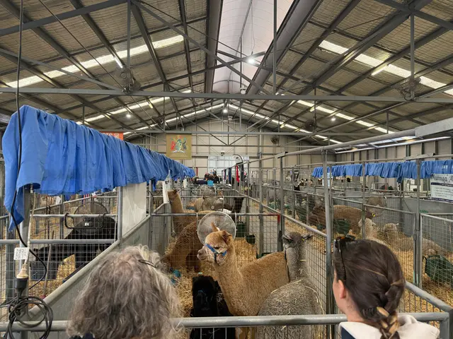 the Royal Adelaide Show