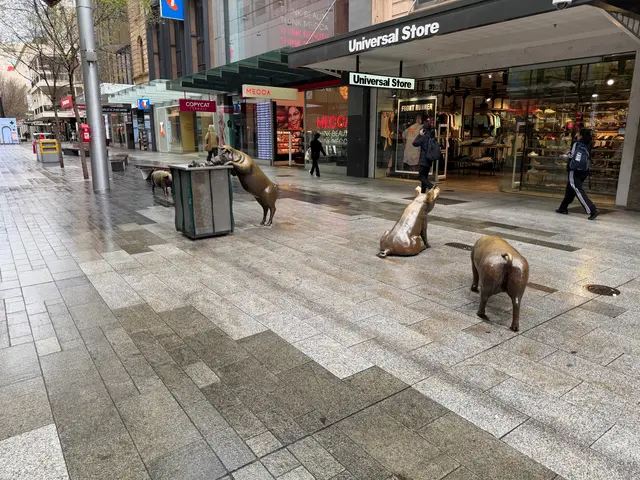 trash pigs