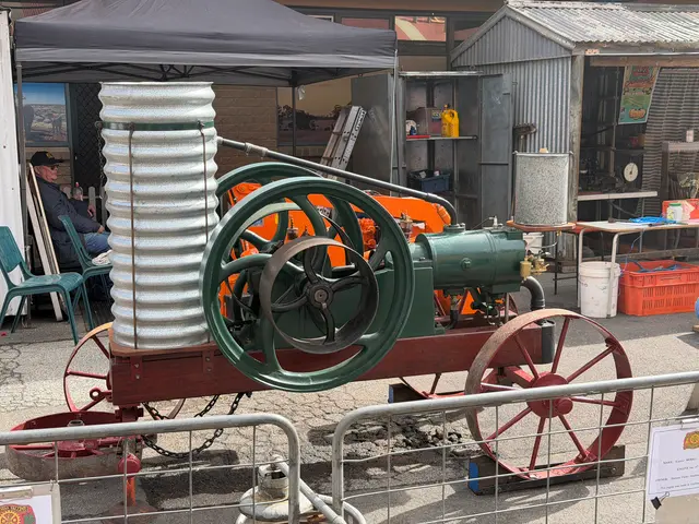 the Royal Adelaide Show