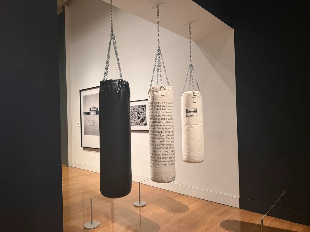 punching bags