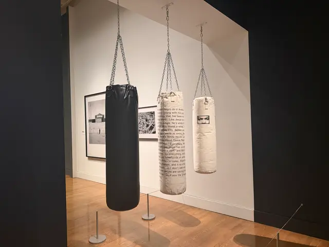 punching bags