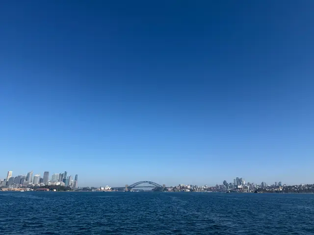 Sydney harbor