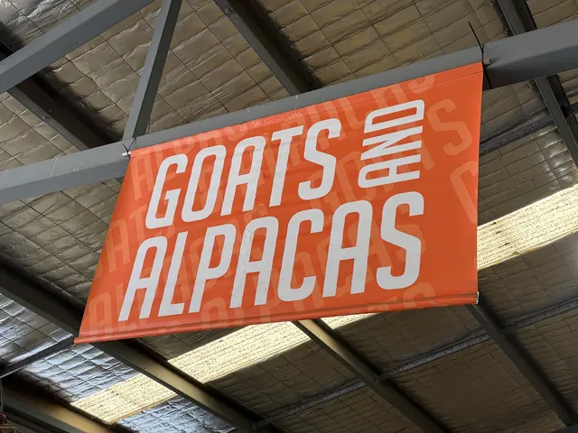 the Royal Adelaide Show