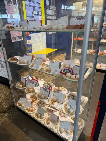 the Royal Adelaide Show