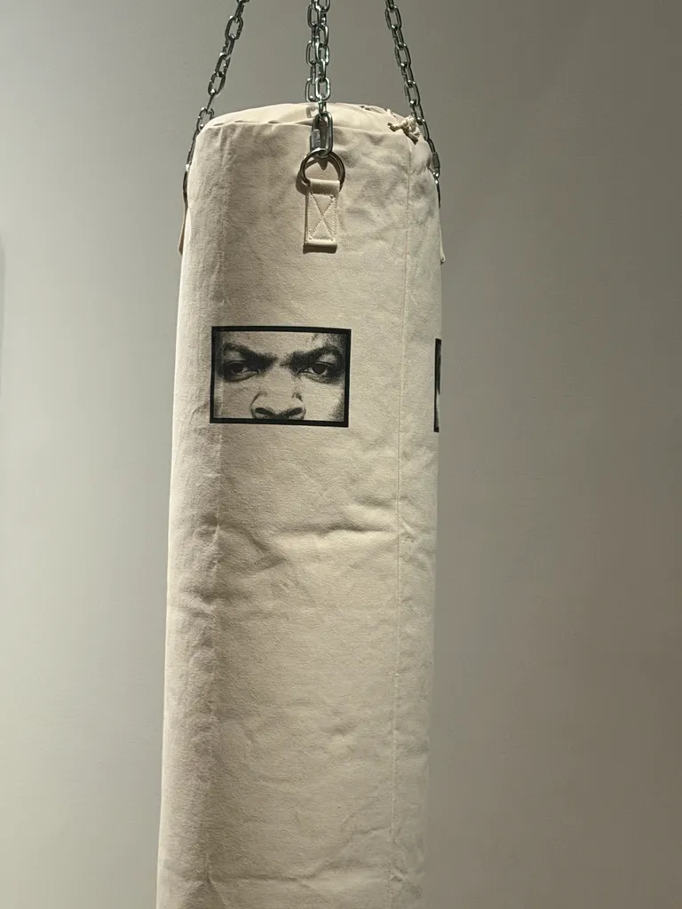 punching bags (Ice Cube)