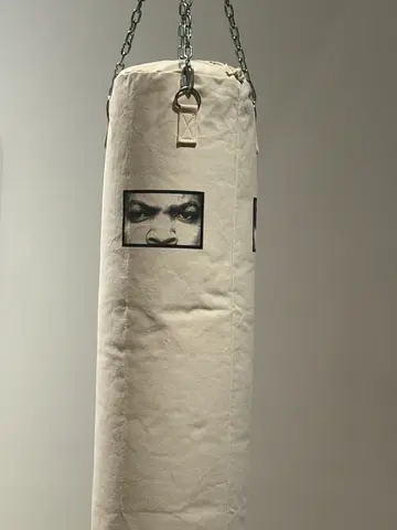 punching bags (Ice Cube)