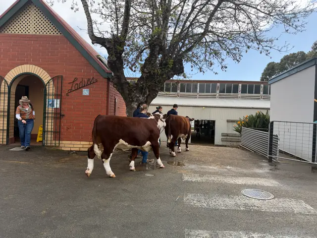 the Royal Adelaide Show