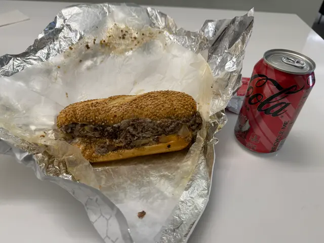 $20 cheesesteak