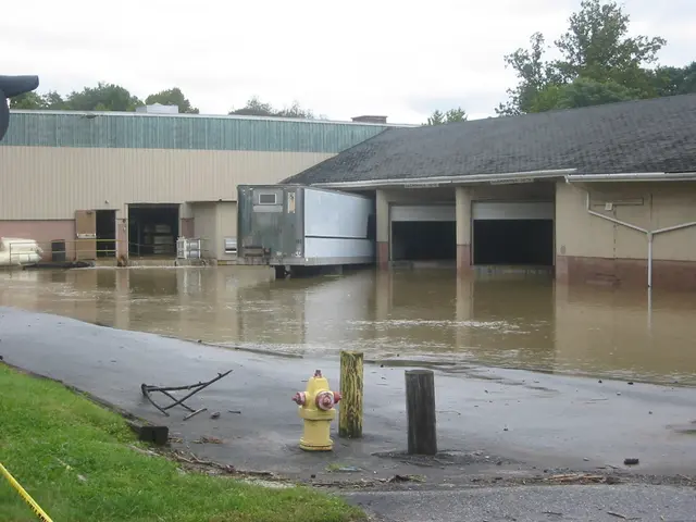 the flood, 2004, img_1868
