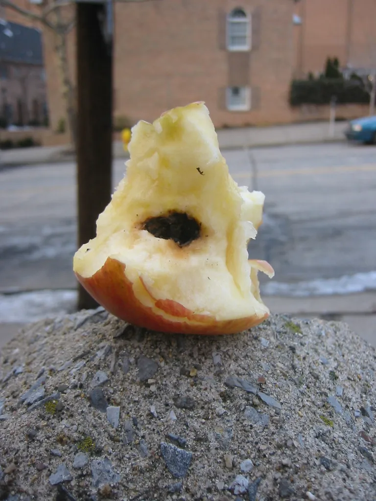 rotten apple