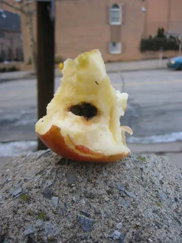 rotten apple