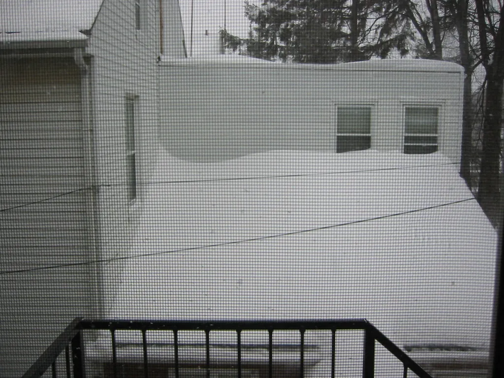 snowstorm, 2003-02, Neighbors