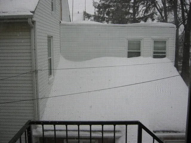 snowstorm, 2003-02, Neighbors