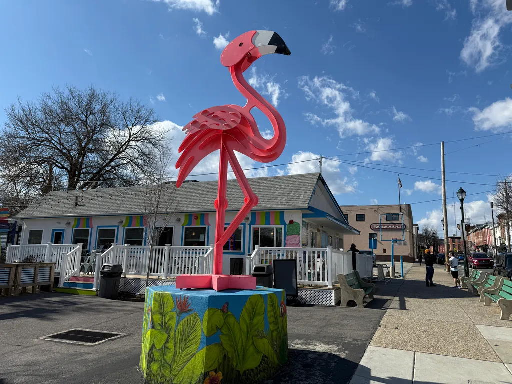 Manayunk flamingo