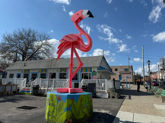 Manayunk flamingo