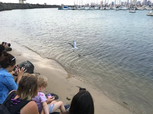 the bay