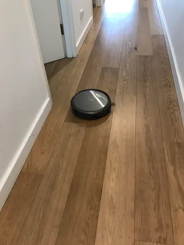 the roomba in my apartment
