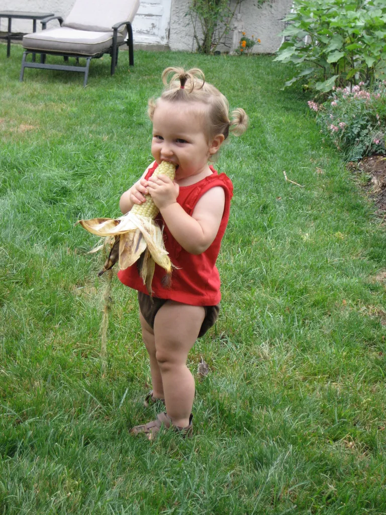 independence and corn go hand in hand 