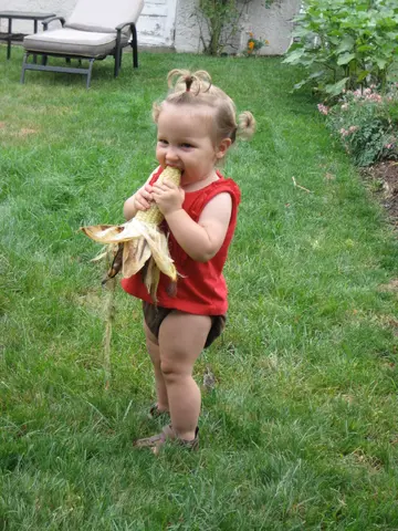 independence and corn go hand in hand 