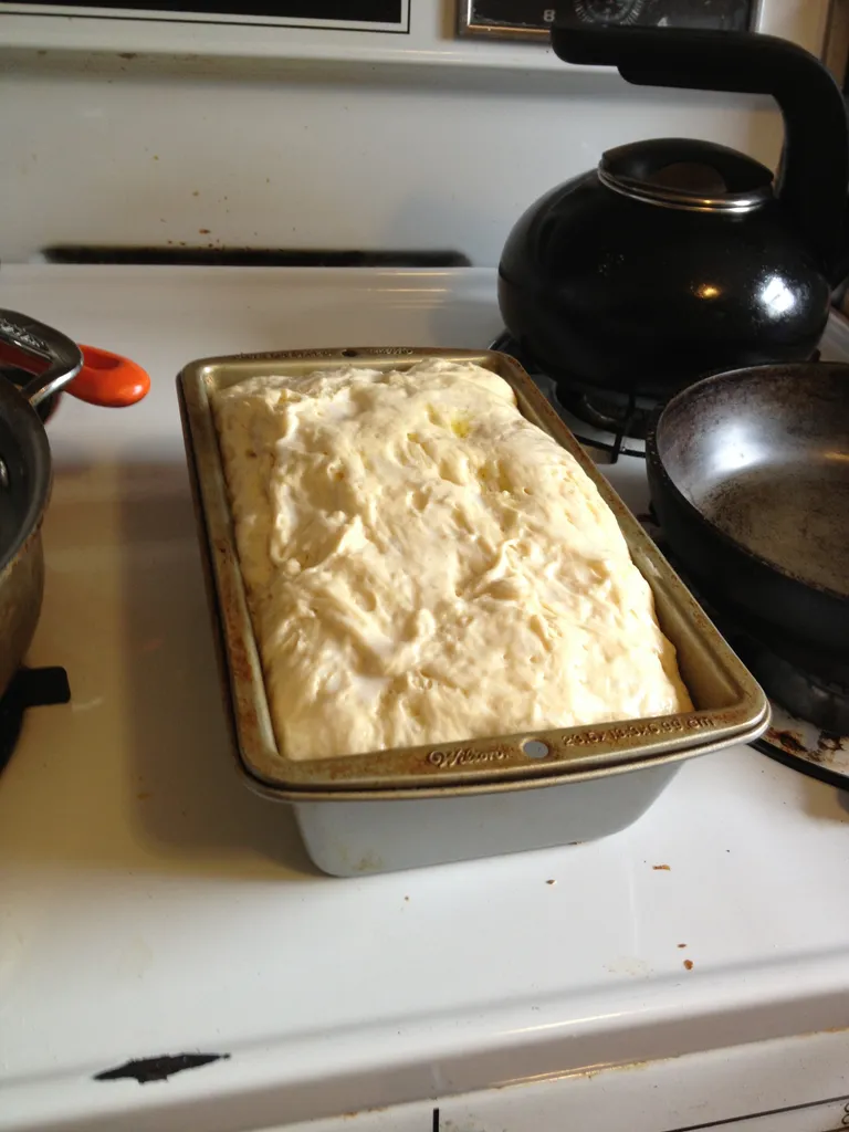 fully risen bread dough
