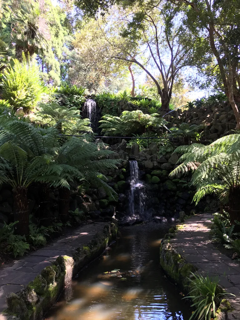 Fern Gully