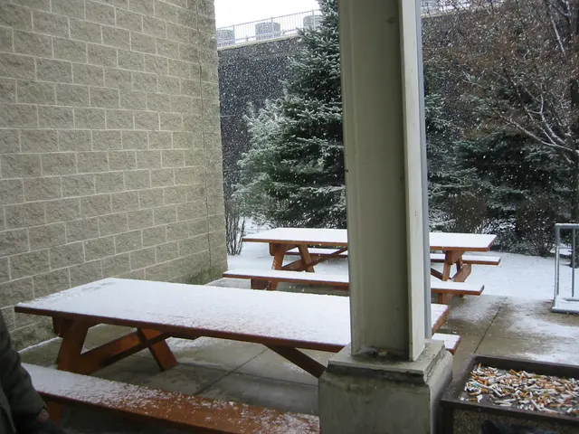 snowstorm, 2003-12, img_0982