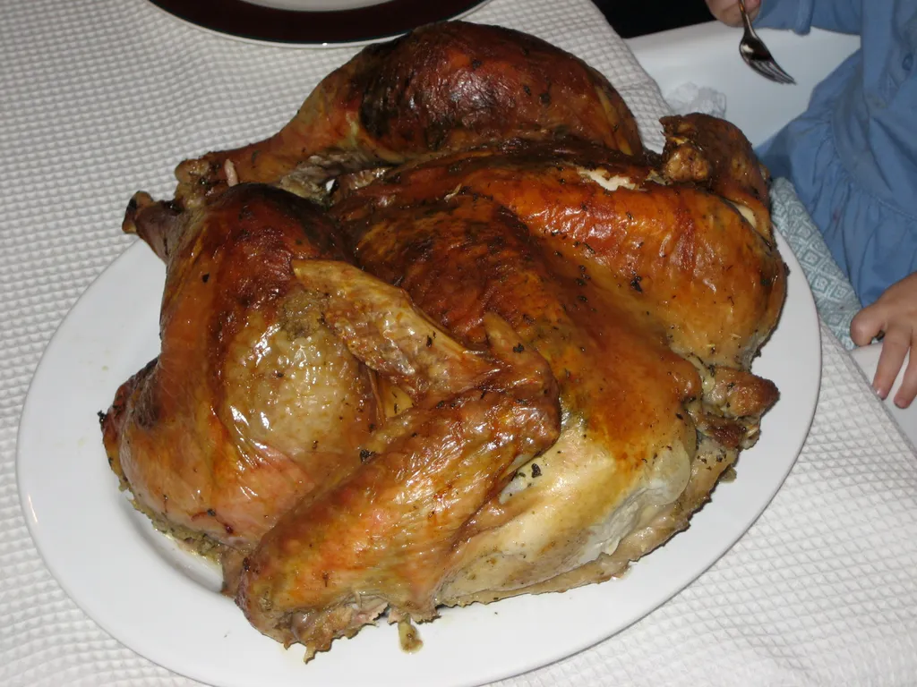 the turkey