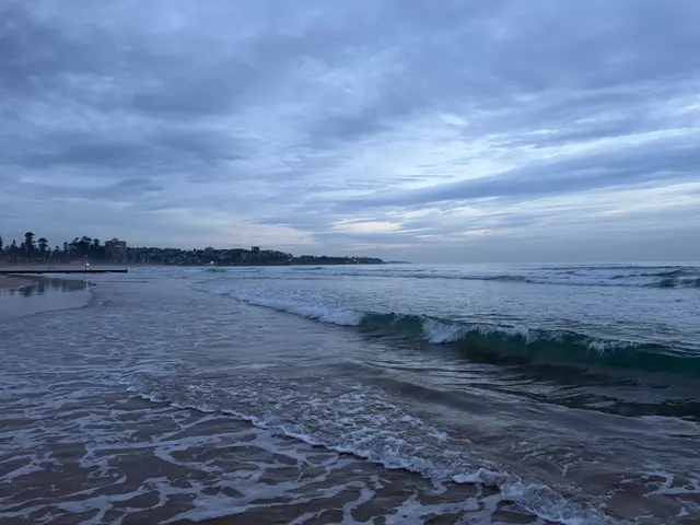 at Manly Beach