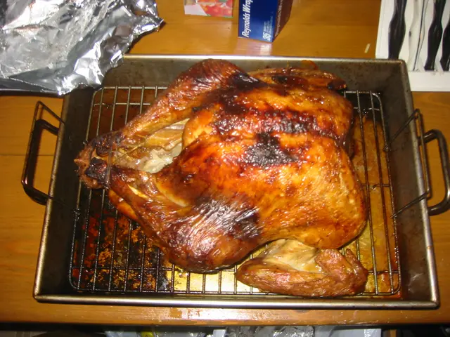 thanksgiving 2004, img_0030