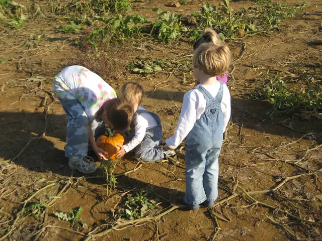 pumpkin pickin'