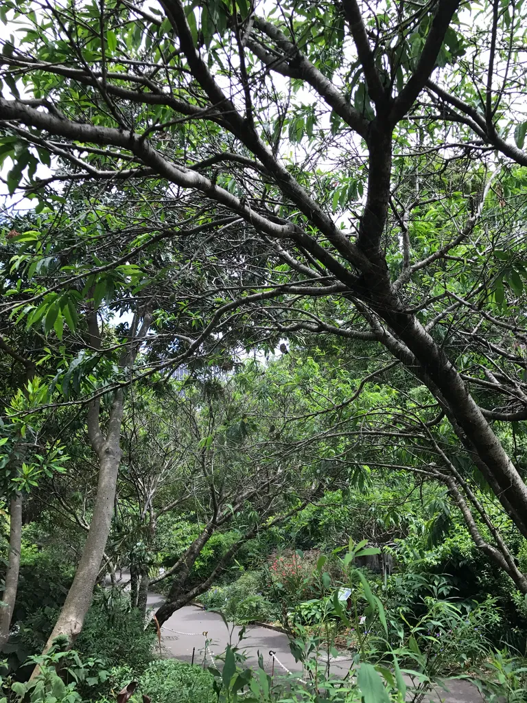 Sydney botanical gardens