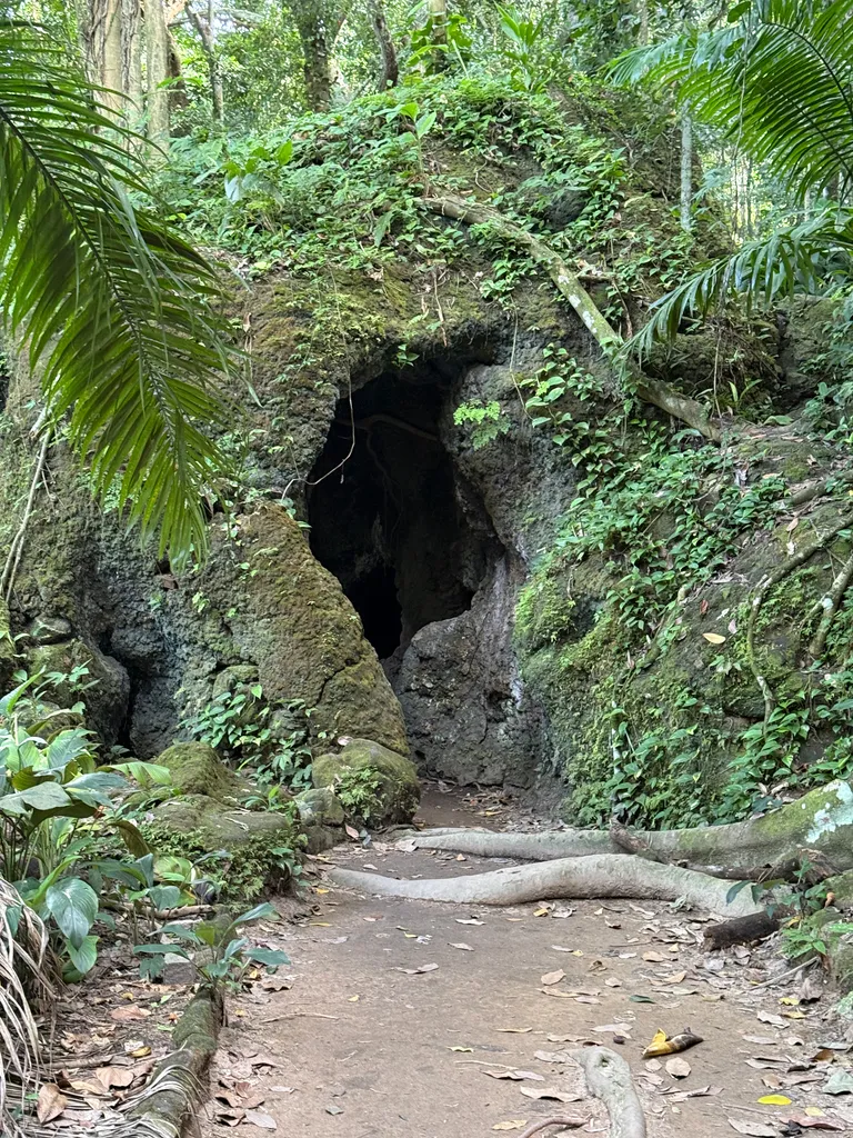Parque Lage
