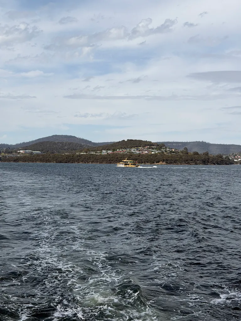 visiting MONA