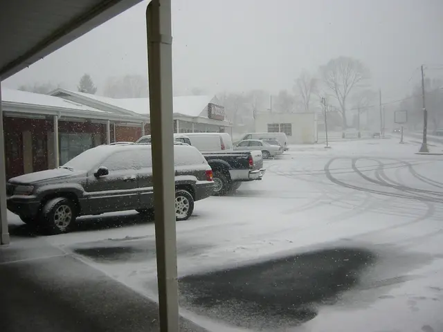 the lot at ray's pizza