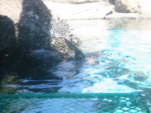 oscon 2003, otter-2