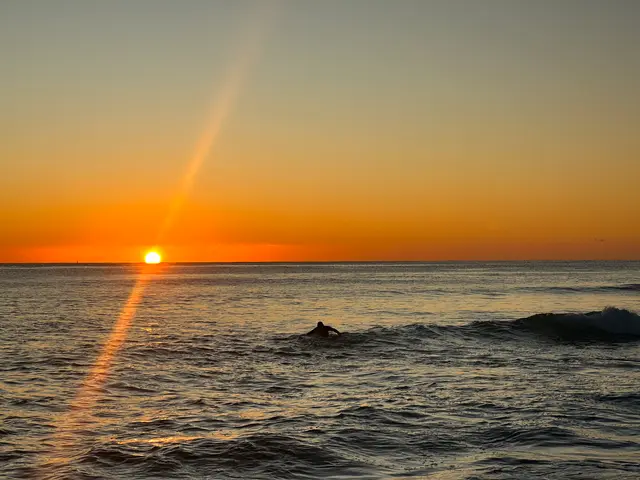 Manly beach sunrise