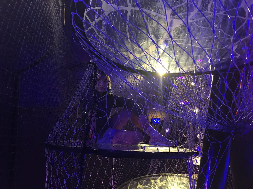 the brain