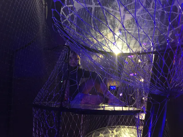 the brain