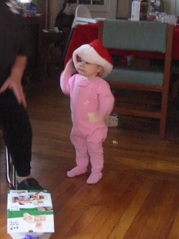 anika the elf