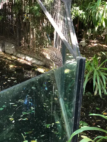 zoo time