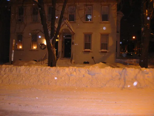 snowstorm, 2003-02, Home!
