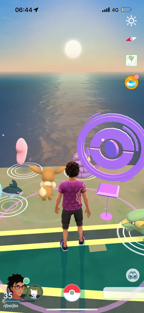 Manly beach sunrise (Pokémon Go)
