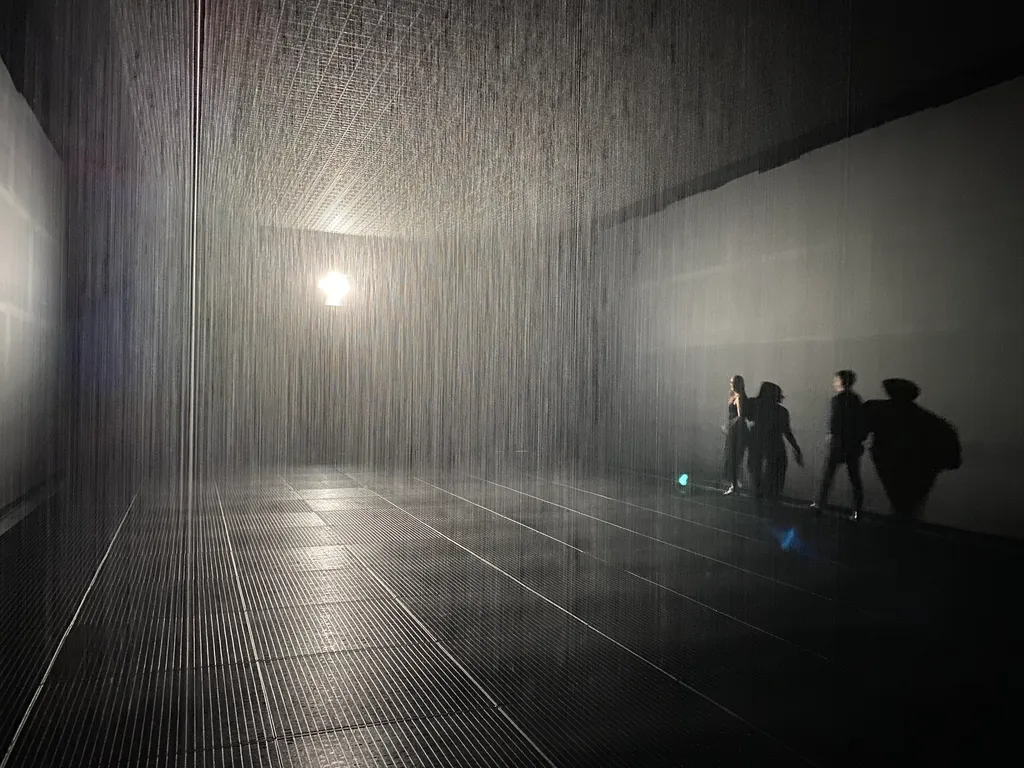 the rain room
