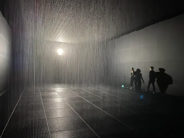 the rain room
